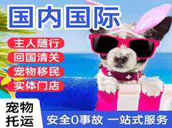 合肥空运公司国际宠物托运 【国